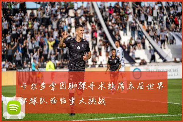 卡尔多索因脚踝手术缺席本届世界杯球队面临重大挑战